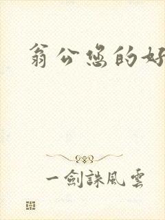 翁公您的好长呀封面