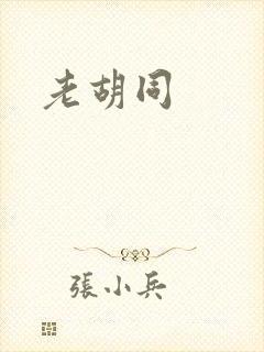 老胡同