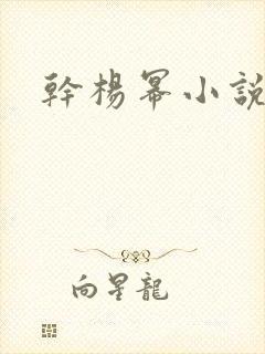 干杨幂小说