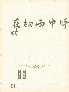 在细雨中呼喊txt