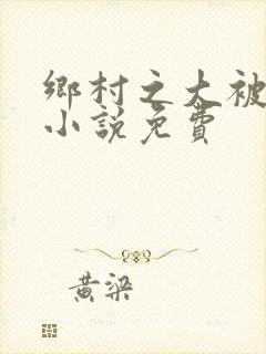 乡村之大被同眠小说免费