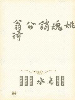 翁公销魂姚瑶琦琦