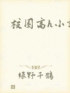 校园高h小说