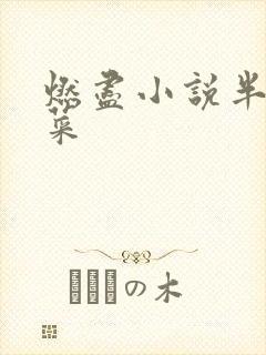 燃尽小说半截白菜