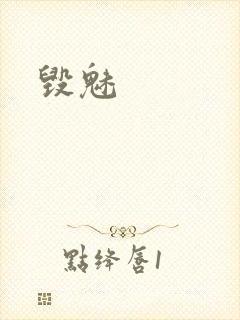 毁魅