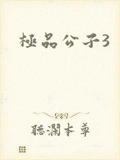 极品公子3封面
