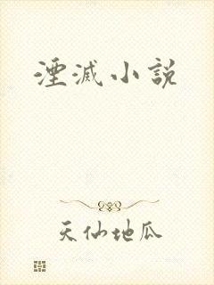 湮灭小说