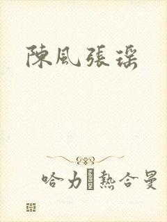 陈风张瑶封面