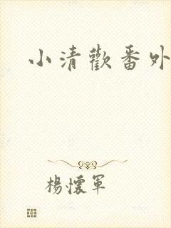 小清欢番外封面