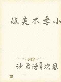 姐夫不要小说