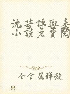 沈若锦与秦琅的小说免费阅读