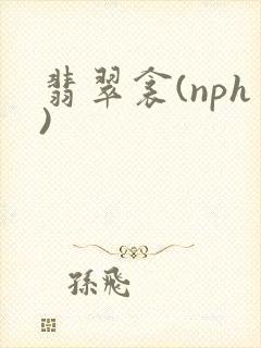 翡翠衾(nph)