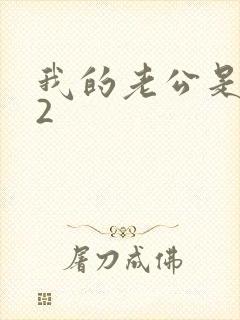 我的老公是冥王2封面