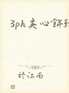 3ph夹心饼干
