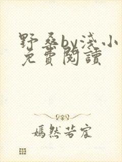 野桑by浅小说免费阅读