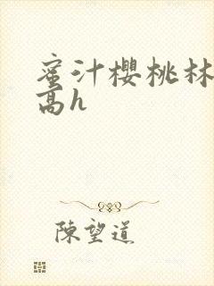 蜜汁樱桃林妙妙高h