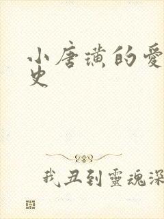 小唐璜的爱情历史