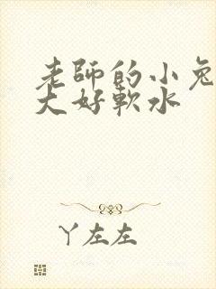 老师的小兔子好大好软水