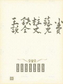王铁柱苏小汐小说全文免费阅读最新章节