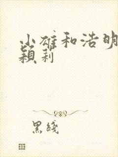 小雄和浩明夹击颖莉
