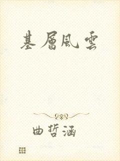 基层风云封面