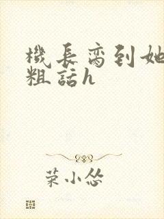 机长脔到她哭h粗话h封面