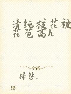 清纯校花被迫开花苞高h封面
