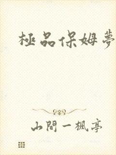 极品保姆梦梦封面