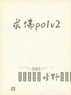 求佛po1v2