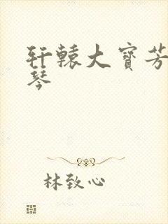 轩辕大宝芳菲雅琴