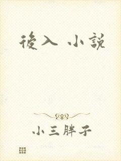 后入 小说