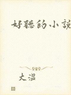 好听的小说名字封面