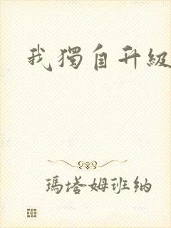 我独自升级