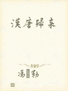 汉唐归来