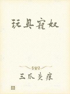 玩具宠奴