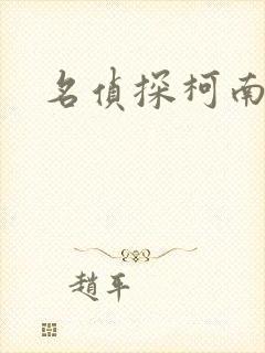 名侦探柯南h封面