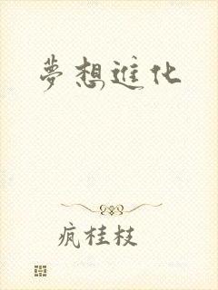 梦想进化
