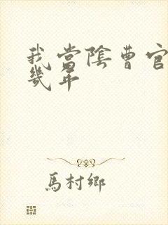 我当阴曹官的那几年封面
