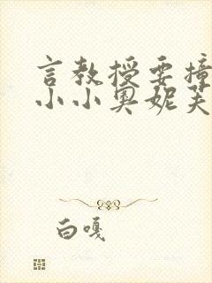 言教授要撞坏了小小奥妮芙原文封面