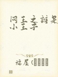网王之谁是我的小王子封面