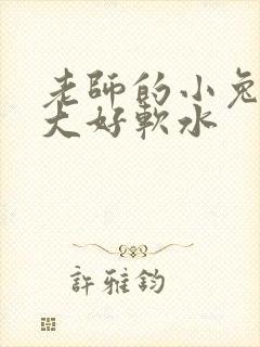 老师的小兔子好大好软水