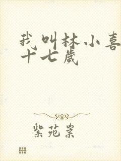 我叫林小喜今年十七岁