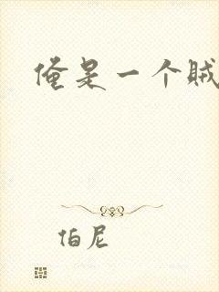 俺是一个贼