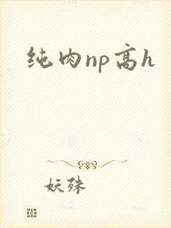 纯肉np高h封面