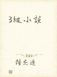 3级小说