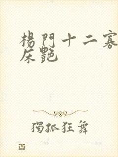 杨门十二寡妇肉床艳