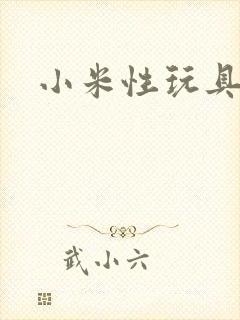 小米性玩具日记封面