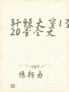 轩辕大宝1至720章全文封面