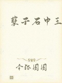 孽子石中玉封面
