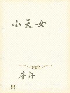 小天女封面